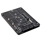 Xiwai コンボ M.2 NGFF B-Key & mSATA SSD - SATA 3.0 アダプター コンバーター ケース エンクロージャ スイッチ付き