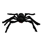 TOYMYTOY 蜘蛛 おもちゃ ハロウィン 飾り クモ おもちゃ クモぬいぐるみ 怖い 30cm 2個セット パーティー 怖い ハロウィーン 仮装パーティー 部屋 装飾 贈り物 お化け 屋敷プロップ（黒）
