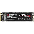 BIOSTAR M.2 NVMe Gen3×4 対応SSD 1 TB [ M700-1TB ]