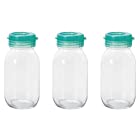 アデリア 保存容器 保存瓶 カラフルボトル CCサーバー 925ml グリーン 3本入 [果実酒瓶/ガラス瓶/梅酒瓶] 日本製 M-6444