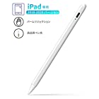 タッチペン ipad スタイラスペン iPad専用ペン（第3世代） CARYWON iPad ペンシル スタイラスペン ipad 6/ ipad mini 5/ ipad air 3/ ipad pro/ipad pro 3 など 2018年以降iPad対