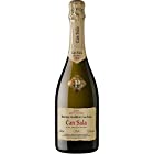 【カヴァの最高ランクスパークリングワイン】 フレシネ カン サラ 2008 [スパークリング スペイン 750ml ]