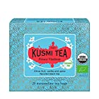 KUSMI TEA クスミティー プリンス ウラディミル 2.0g x 20ティーバック（個包装なし） オーガニック 有機JAS認証 紅茶 [正規輸入品]