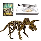 UTST 恐竜化石発掘 おもちゃ 発掘キット 恐竜の骨 (Triceratops)