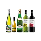 【 スペイン バスク 地方産】 ワイン & シードル (飲み比べ 5本セット) 3375ml
