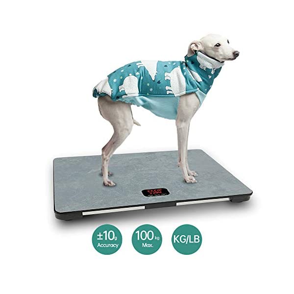 大きな犬の体重計 10gの高精度 大型犬や体重を測定する多くの猫に適しています ｃｃｌショップ ヤマダモール店
