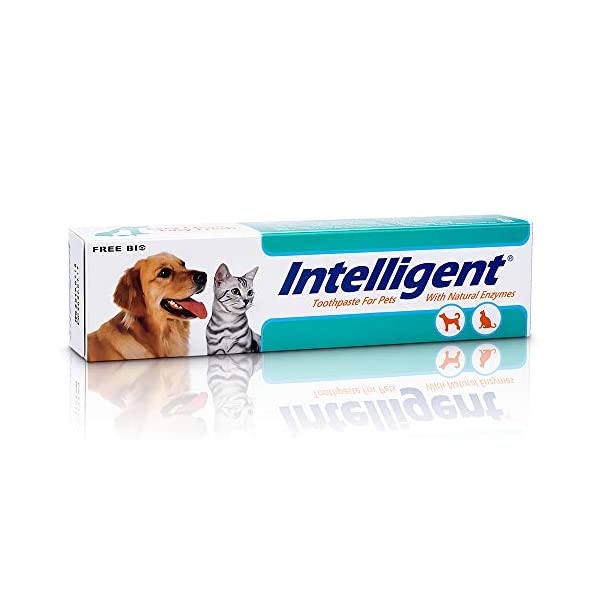 インテリジェント酵素入り猫犬用歯磨き粉 80g 歯周病ケア 自宅の歯石取り配合用はみがき 口臭 サプリ