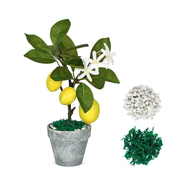 Livole レモン 市場 フルーツ鉢植え 人工観葉植物 フェイクグリーン 観葉植物 フェイク フラワーポット付き 造花 室内装飾用 小石とモス付き ミニ インテリア