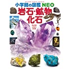 小学館の図鑑 NEO 岩石・鉱物・化石 (小学館の図鑑NEO)