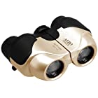 Kenko 双眼鏡 AERO MASTER 8×18 mini ポロプリズム式 8倍 18口径 軽量コンパクト ゴールド 97613