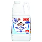 【大容量】キレイキレイ 薬用泡ハンドソープ プロ無香料2L