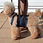 RURU PET 国内正規品 犬用介護ハーネス ウオークわんデニム 足腰が弱くなってきたワンちゃの歩行補助 トイレの補助に (M-ショート)