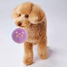 ペティオ (Petio) 犬用おもちゃ キャラペティ 美少女戦士セーラームーン スクイーカーボール ルナ