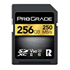 ProGrade Digital (プログレードデジタル) SDXC UHS-II V60 GOLD 250R メモリーカード 正規輸入品 (256GB)