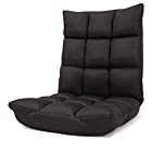 座椅子 コンパクト こたつ 椅子 フロアーチェア クローゼット 収納可能「秋月」 (折りたたみタイプ) (DXメッシュブラック色)