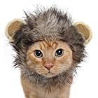 犬 猫用ウィッグ ペット用帽子 ライオン 猫被り物 可愛いペット用 ウィッグ 猫用帽子 コスプレキャップ 変身 ハロウィン クリスマス M
