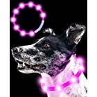 Qbit LED 犬光る首輪 【視認距離400mで夜間も安心】 犬 猫 光る 首輪 ライト 夜 散歩USB 充電式 小型犬 中型犬 大型犬 サイズ調節可能 ピンク