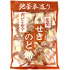 井関食品 だいこん入り 花梨いせきのど飴 120g×10袋