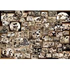 1000ピース ジグソーパズル ディズニー ミッキーマウス モノクロ映画コレクション(51x73.5cm)