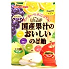 早川製菓 国産果汁のおいしいのど飴 90g×20袋