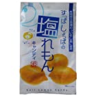 松屋製菓 塩レモンキャンディ 100g×10袋