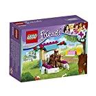 レゴ (LEGO) フレンズ 子馬とリトルハウス 41089