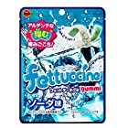 ブルボン フェットチーネグミソーダ味 50g×10袋