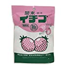 スマイル-リンク 関東栃木イチゴ飴 60g×10袋