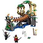 LEGO Ninjago Master Falls 忍者 マスターフォールズ 70608 Building Kit (312 Piece)