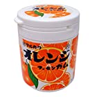丸川製菓 マルカワ オレンジマーブルガム ボトル 130g×3個