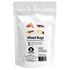 食用 昆虫ミックス 15g(Mixed Bugs) 昆虫食