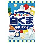 パイン 白くまキャンディ 70g ×10袋