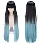 BBYMECO コスチューム 時透 無一郎 コスプレウィッグ グラデーション ストレット 90cm cosplay wig スタイリング櫛 ネット 付き