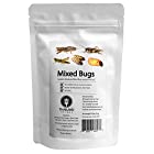 食用 昆虫ミックス 15g(Mixed Bugs) (5種類)昆虫食