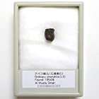 TOKYO SCIENCE グバラ隕石（石質隕石）／Ghubara 産地：オマーン