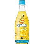 サントリー オランジーナ エアリー ORANGINA Airy 420ml×24本