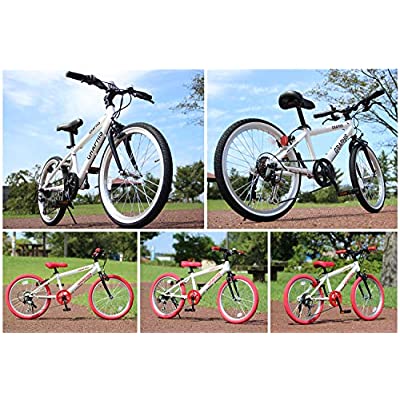 ヤマダモール | GRAPHIS(グラフィス) 子供用自転車 クロスバイク 22 
