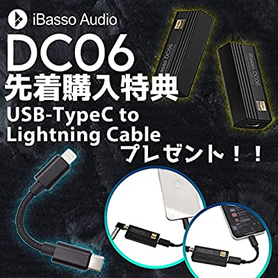 ヤマダモール | iBasso Audio DC06 アイバッソ Type C タイプC