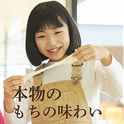 MINORU【新品未使用】みのる産業　3合餅つき機「つき姫」