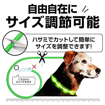 ヤマダモール | 犬猫工房 光る首輪 犬 【ドッグトレーニング
