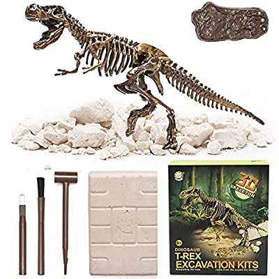 ヤマダモール | PITHECUS 恐竜 おもちゃ 発掘キット (ティラノサウルス