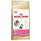 ロイヤルカナン FBN ペルシャ・チンチラ・ヒマラヤン 子猫用 2kg