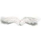 天使の翼 コスチューム用小物 ホワイト レディース