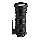 SIGMA 150-600mm F5-6.3 DG OS HSM | Sports S014 | Canon EFマウント | Full-Size/Large-Format