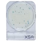 日水製薬 コンパクトドライ「ニッスイ」 X-SA 40枚 (黄色ブドウ球菌測定用/4枚×10袋)