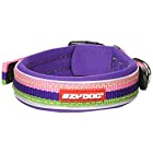 EZYDOG(イージードッグ) 首輪 [正規代理店品] ネオカラー バブルガム 小型犬用 XS サイズ
