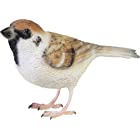 小鳥 造形 バーディ ビル スパロー (スズメ) 4.5×12×8cm 2374