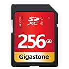 Gigastone SDカード 256GB UHS-I U1 Class 10 SDXC メモリーカード 高速 Full HD ビデオ デジタルカメラ SD card ミニケース1個付き