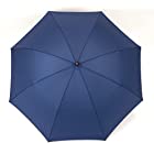 小宮商店 2段式 折りたたみ傘 2つ折り 二段折り 丈夫なグラスファイバー 超撥水 テフロン 60cm(紺)