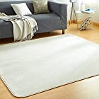 VK Living カーペット ラグ ラグマット 絨毯 185×185cm(約2畳) 洗える 滑り止め付 防ダニ 抗菌 防臭 1年中使えるタイプ 床暖房 ホットカーペット対応 ふわっと手触り 優しいフランネルラグ 無地・アイボリー